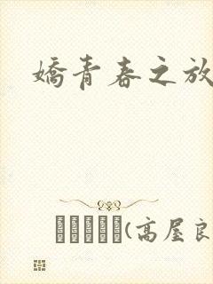 《娇青春之放纵》小说封面