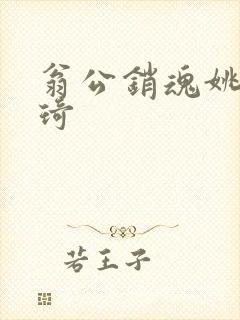 翁公销魂姚瑶琦琦