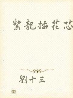 紫龙插花芯方正