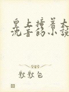 皇上撞着太子妃沈音的小说叫什么