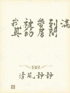 我被带到满是玩具的房间