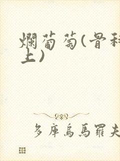 烂葡萄(骨科年上)