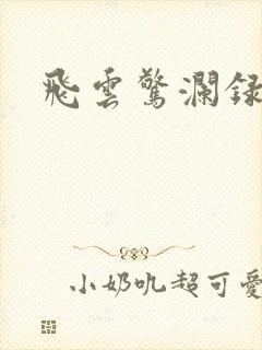飞云惊澜录