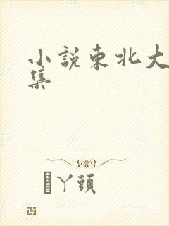 小说东北大炕全集