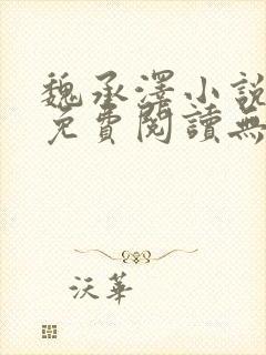 魏承泽小说全文免费阅读无弹窗笔趣