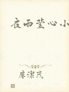 夜雨莹心小说