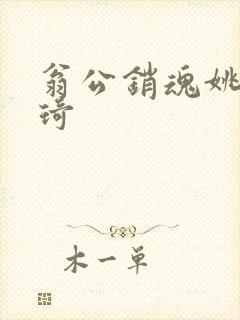 翁公销魂姚瑶琦琦