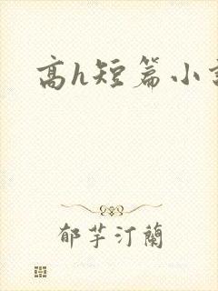 高h短篇小说封面