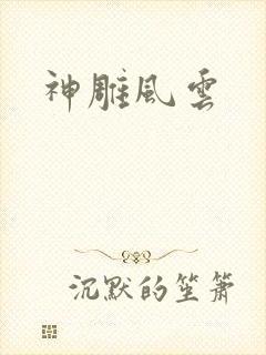 神雕风云封面