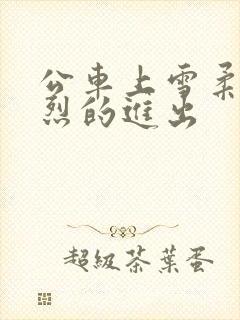 公车上雪柔被猛烈的进出