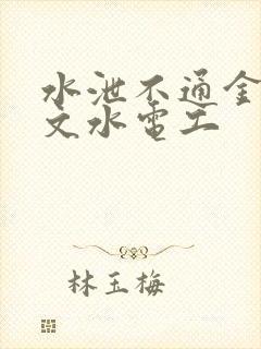 水泄不通金银原文水电工