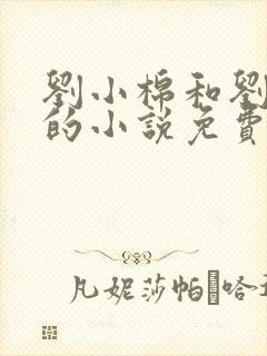 刘小棉和刘易文的小说免费阅读