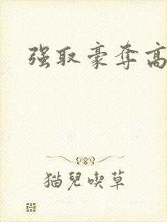 强取豪夺高干文