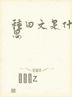 种田文是什么意思
