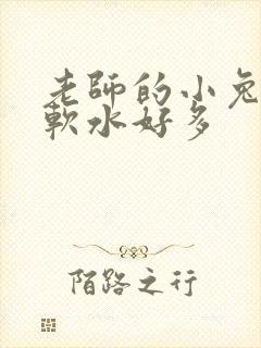 老师的小兔子好软水好多