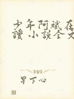少年阿斌在线阅读 小说全文免费