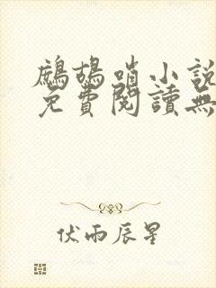 鹧鸪哨小说网站免费阅读无弹窗