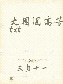 大团圆高芳小说txt
