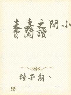 夫妻之间小说免费阅读