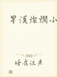 星汉灿烂小说