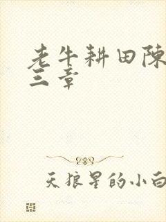 老牛耕田陈雪第三章