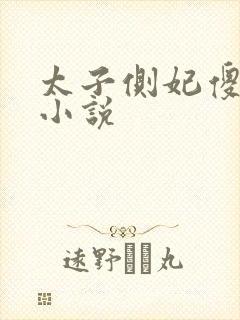 太子侧妃傻乎乎小说