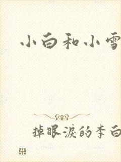 小白和小雪