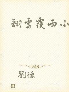 翻云覆雨小说封面