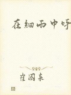 在细雨中呼喊