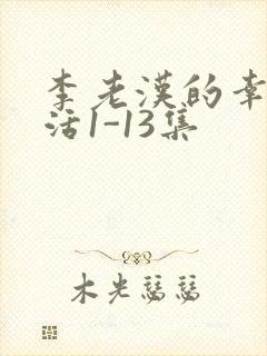 李老汉的幸福生活1-13集