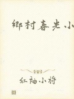 乡村春光小说
