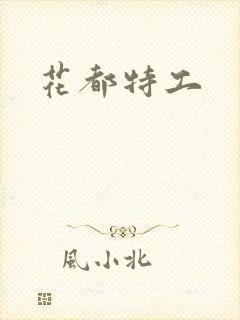 花都特工封面