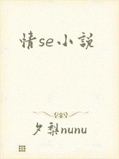 情se小说