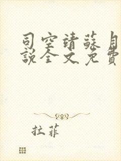 司空靖苏月汐小说全文免费阅读