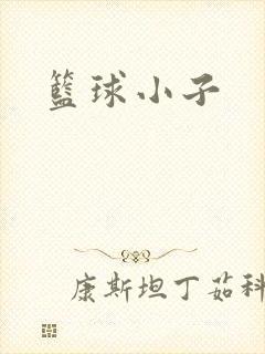 篮球小子
