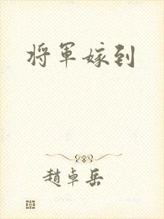 将军嫁到