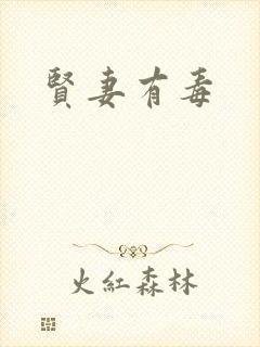 贤妻有毒