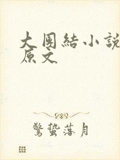 大团结小说阅读原文