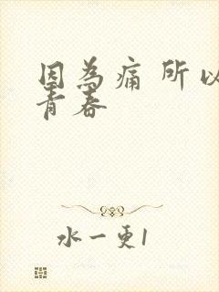 因为痛 所以叫青春