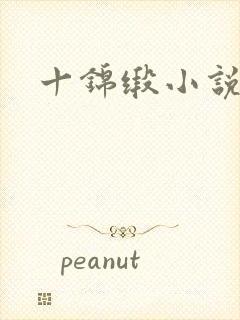 十锦缎小说