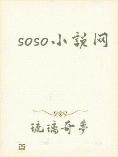 soso小说网