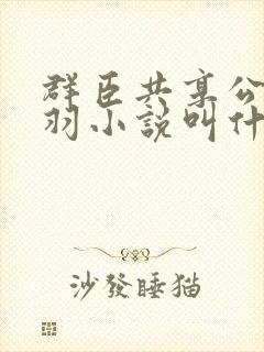 群臣共享公主银羽小说叫什么