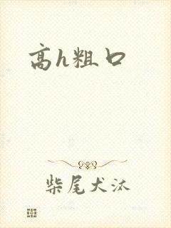高h粗口