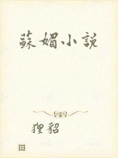 苏媚小说