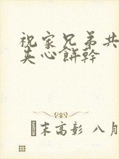 祝家兄弟共享后夹心饼干