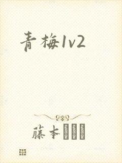 青梅1v2