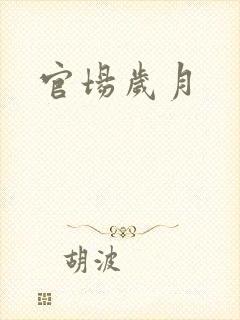 官场岁月