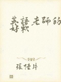 英语老师的兔子好软