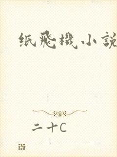 纸飞机小说