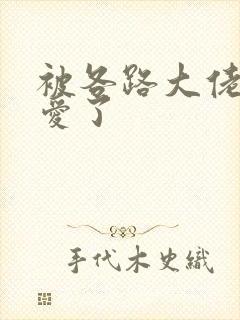 被各路大佬强制爱了